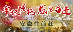 牢記囑托  感恩奮進——安徽往前趕